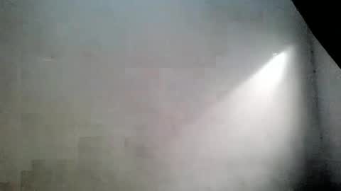 ass_elbonypussy online show from 23, 5, 2026
