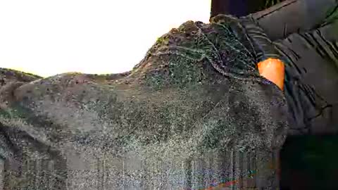 Snapshot of assiology11 chatting on 12, 3, 2025 Assiology online show from 12, 3, 2025