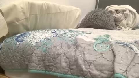 astrologyboy online show from 22, 4, 2026