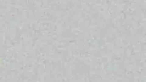 Carolina online show from 9, 7, 2026