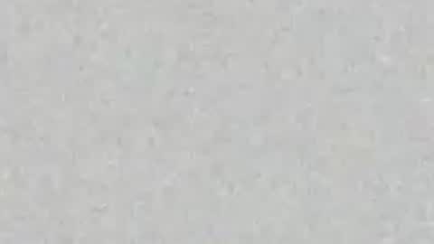 Carolina online show from 23, 7, 2026