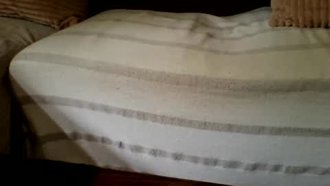 The Atypical Fit Cat online show from 27, 4, 2026