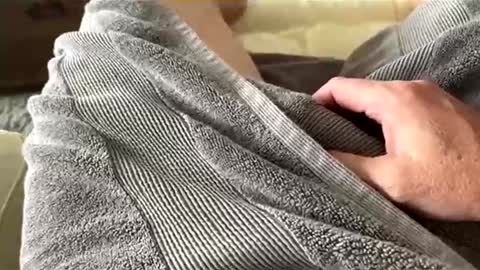 Aussie fatcock online show from 5, 4, 2026