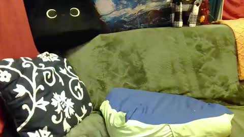 Snapshot of average_girl222 chatting on 6, 1, 2025 raven blue online show from 6, 1, 2025