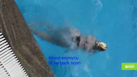 avr0ria online show from 15, 1, 2026