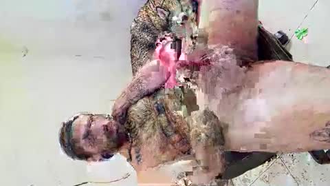 Snapshot of axelpadilla98 chatting on 4, 3, 2026 deliciosodemente online show from 4, 3, 2026