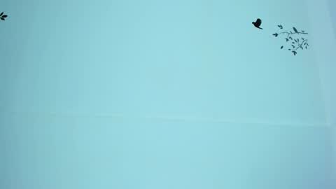 Mariana online show from 12, 3, 2025