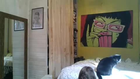 babydemon6 online show from 24, 5, 2026