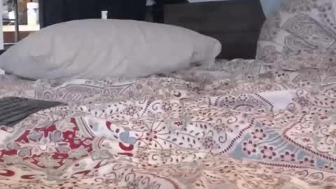 Snapshot of baker305 chatting on 29, 9, 2025 baker305 online show from 29, 9, 2025