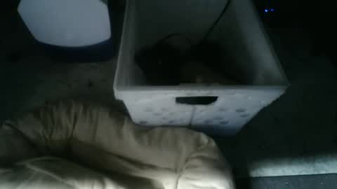 Snapshot of balls_deep_209 chatting on 10, 11, 2025 boton online show from 10, 11, 2025