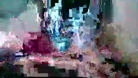 bamacpl80 online show from 26, 2, 2026