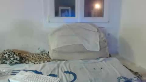 Snapshot of bambino6060 chatting on 2, 12, 2024 bambino6060 online show from 2, 12, 2024