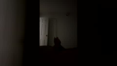 banirtrisco online show from 29, 4, 2026