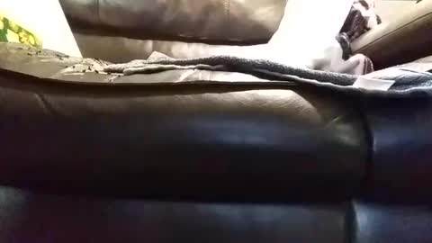 baobabtree8 online show from 9, 1, 2025