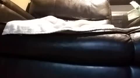 baobabtree8 online show from 10, 10, 2025