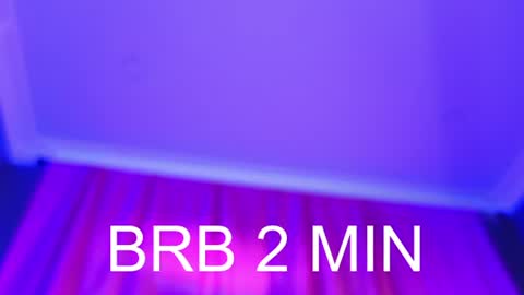 Barbara online show from 20, 7, 2026