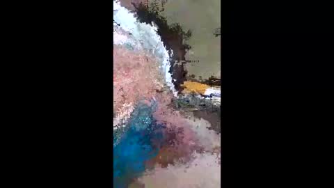 barbitall online show from 13, 1, 2026