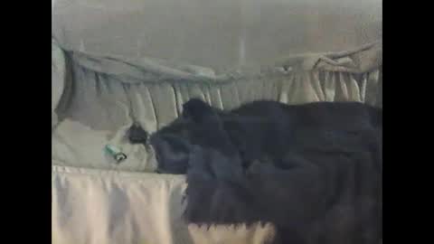 barrysand online show from 23, 9, 2025