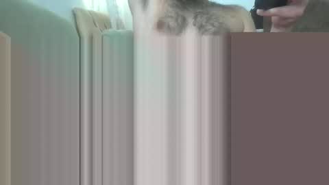 bathoneacock online show from 2, 3, 2025