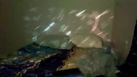 Snapshot of bathtimeboii chatting on 11, 1, 2026 bathtimeboii online show from 11, 1, 2026