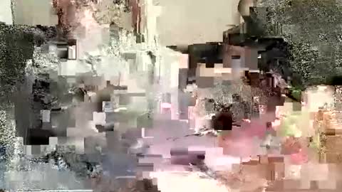 Snapshot of batman3991 chatting on 2, 1, 2025 Batman online show from 2, 1, 2025