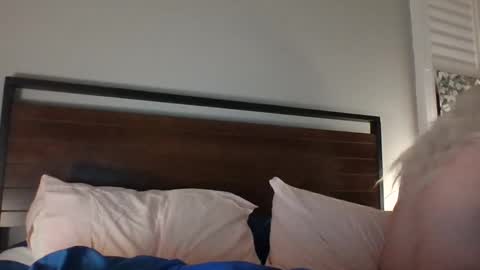 BjBambi online show from 14, 12, 2024