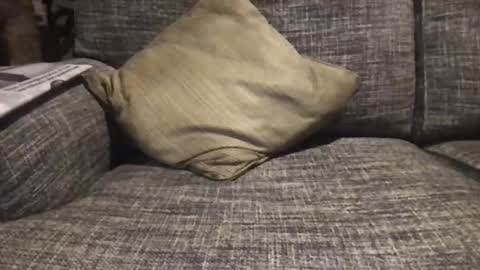 Snapshot of baykiwi54 chatting on 17, 12, 2024 baykiwi54 online show from 17, 12, 2024