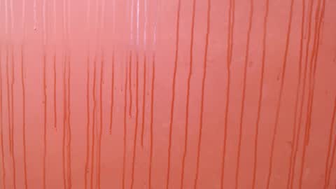 bayonette_black online show from 1, 12, 2025