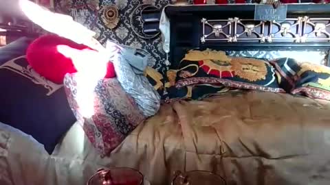 Bazza online show from 1, 11, 2025