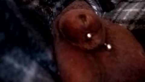 bcfalcon69 online show from 5, 3, 2026