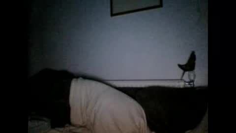 beatlebut online show from 1, 10, 2025