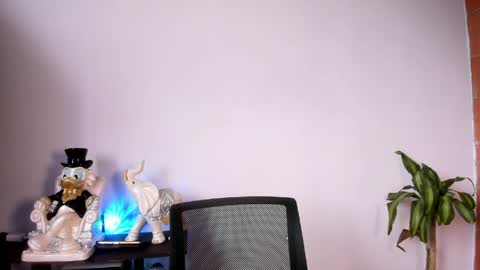 Rebecca  online show from 31, 3, 2026