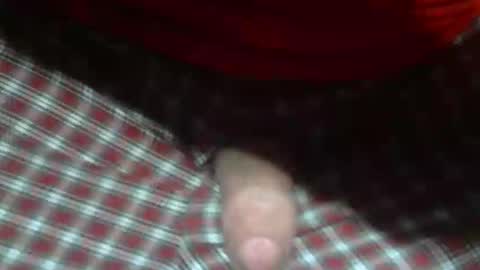  Reservoir Dogs online show from 5, 2, 2026