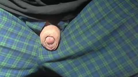  Reservoir Dogs online show from 15, 2, 2026