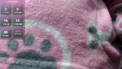 bekkasquirt online show from 1, 1, 2025