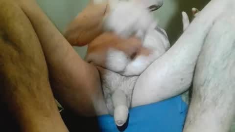 belacska6 online show from 8, 4, 2026