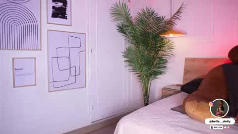    online show from 20, 2, 2026