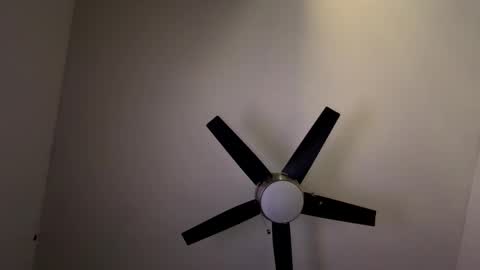 Belle xx online show from 6, 3, 2026