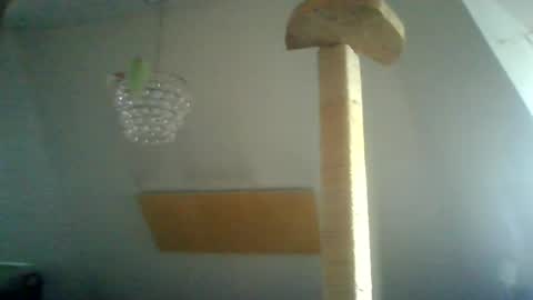 Snapshot of benizio_ chatting on 15, 1, 2025 benizio online show from 15, 1, 2025