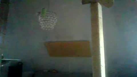 Snapshot of benizio_ chatting on 24, 1, 2025 benizio online show from 24, 1, 2025