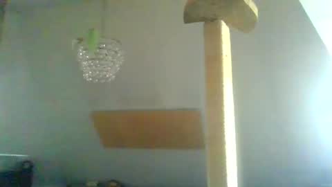 Snapshot of benizio_ chatting on 30, 1, 2025 benizio online show from 30, 1, 2025