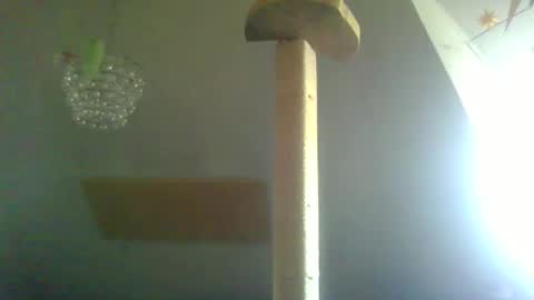 Snapshot of benizio_ chatting on 22, 2, 2025 benizio online show from 22, 2, 2025