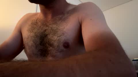 Berltex online show from 13, 7, 2026