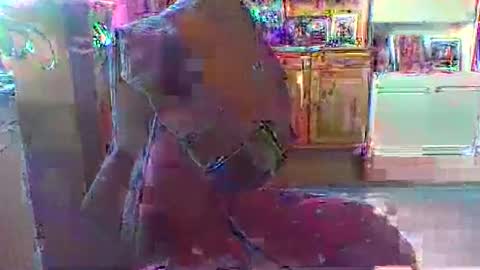 Snapshot of bestmann979994 chatting on 1, 3, 2026 bestmann979994 online show from 1, 3, 2026