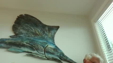 Snapshot of bestshot1951 chatting on 20, 3, 2026 bestshot1951 online show from 20, 3, 2026