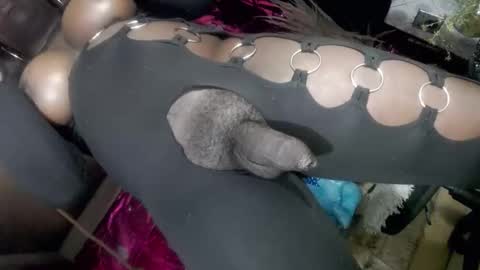 big_trans online show from 14, 1, 2026