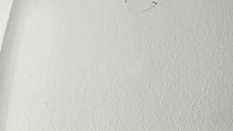   online show from 18, 3, 2026