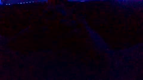 Hunny online show from 11, 12, 2024