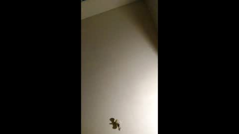 Snapshot of bigchorizo18 chatting on 2, 4, 2026 bigchorizo18 online show from 2, 4, 2026