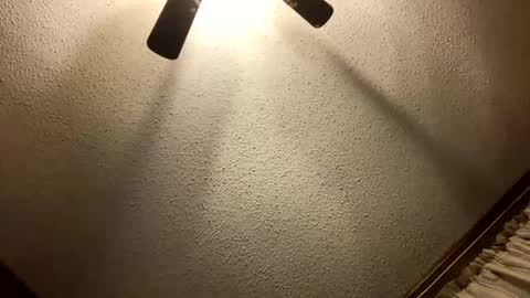 Snapshot of bigcock4yourwetcunt chatting on 4, 11, 2025 bigcock4yourwetcunt online show from 4, 11, 2025